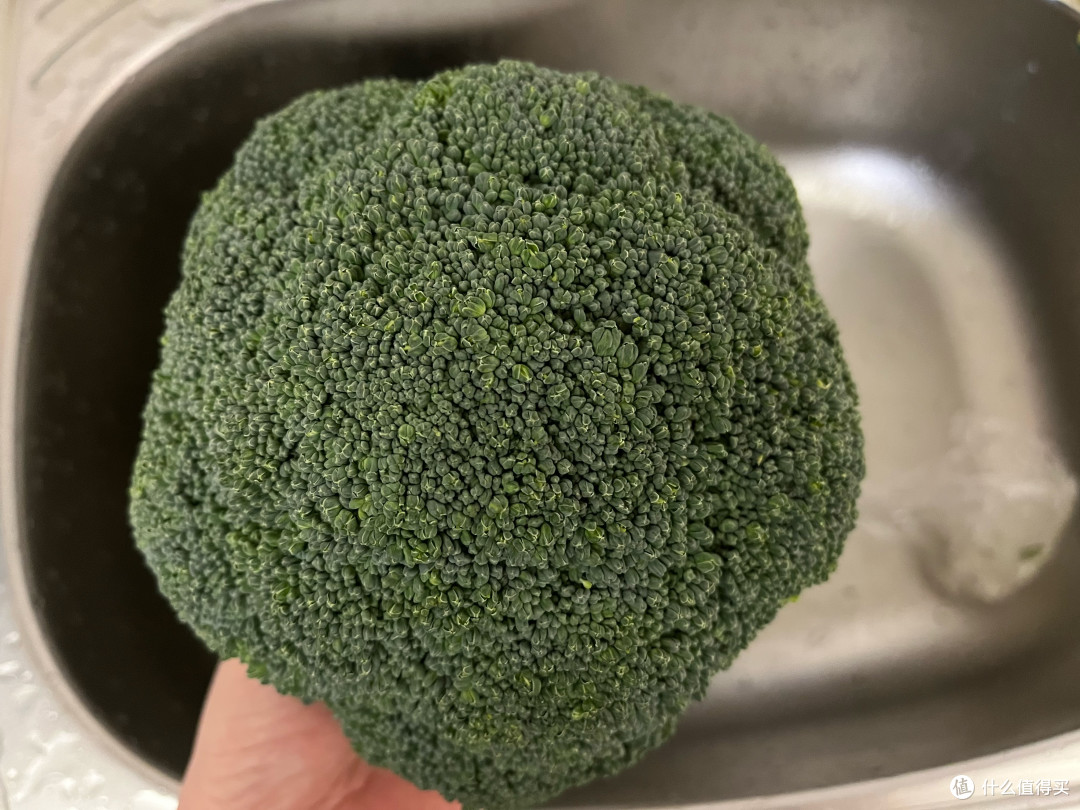 焖面快手菜，看了就会，举一反三，老少皆宜