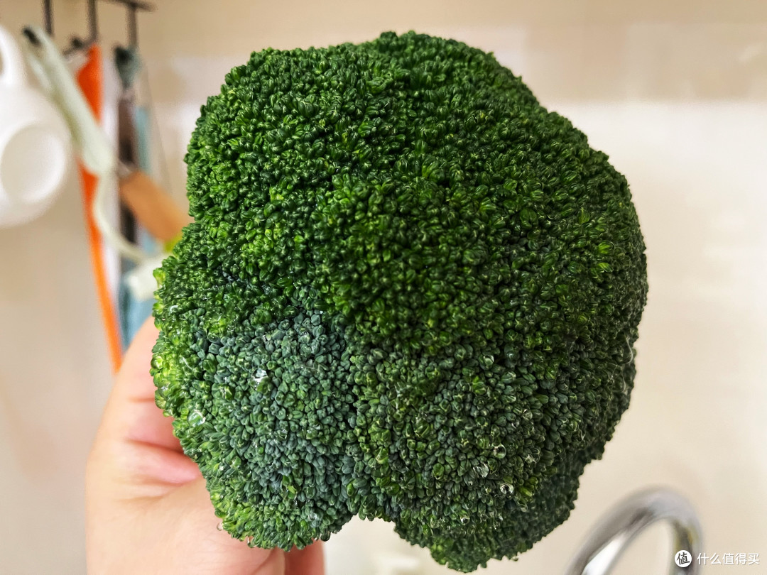 焖面快手菜，看了就会，举一反三，老少皆宜