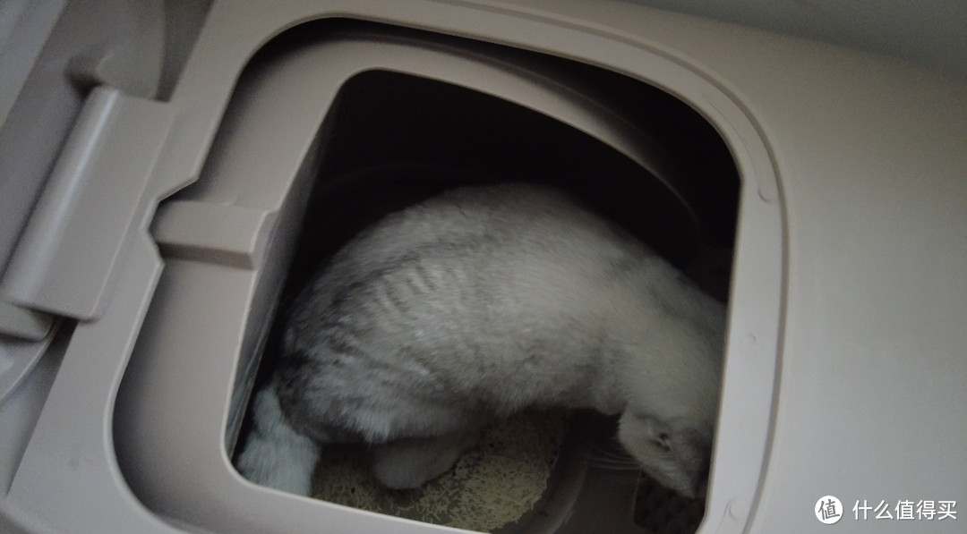 糯雪SNOW智能全自动猫砂盆-每个养猫人的必备神器