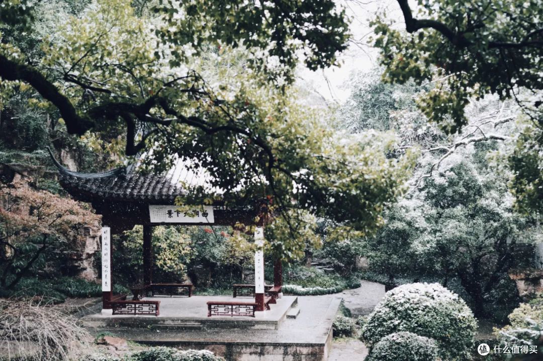 请十三亿没亲临杭州的朋友,来这篇文里看大雪。