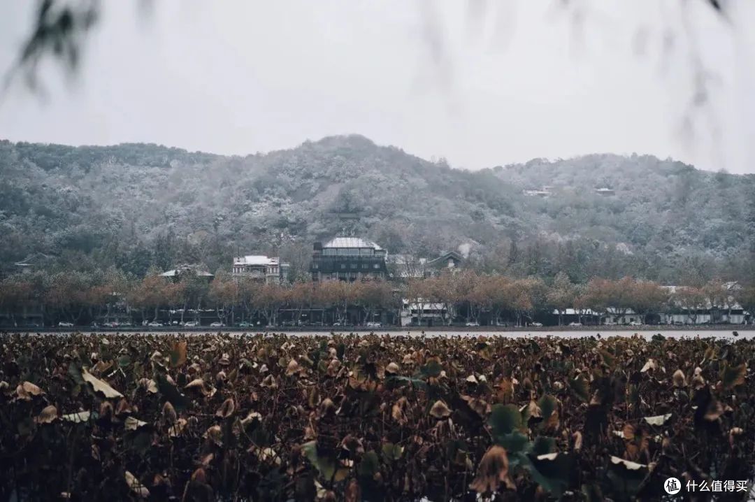 请十三亿没亲临杭州的朋友,来这篇文里看大雪。