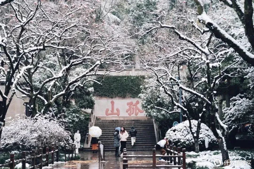 请十三亿没亲临杭州的朋友，来这篇文里看大雪​。