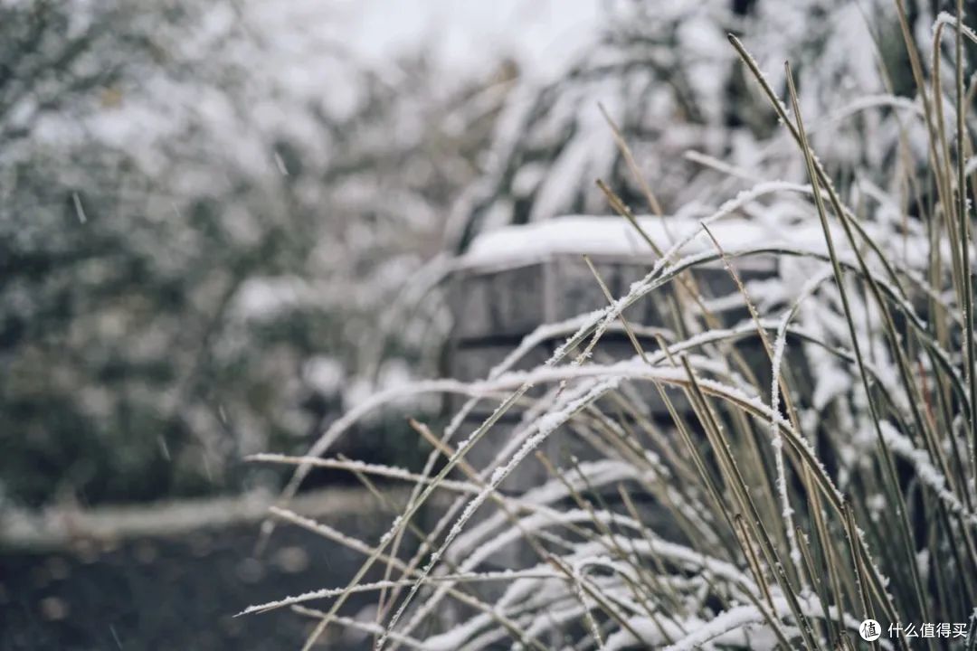 请十三亿没亲临杭州的朋友,来这篇文里看大雪。