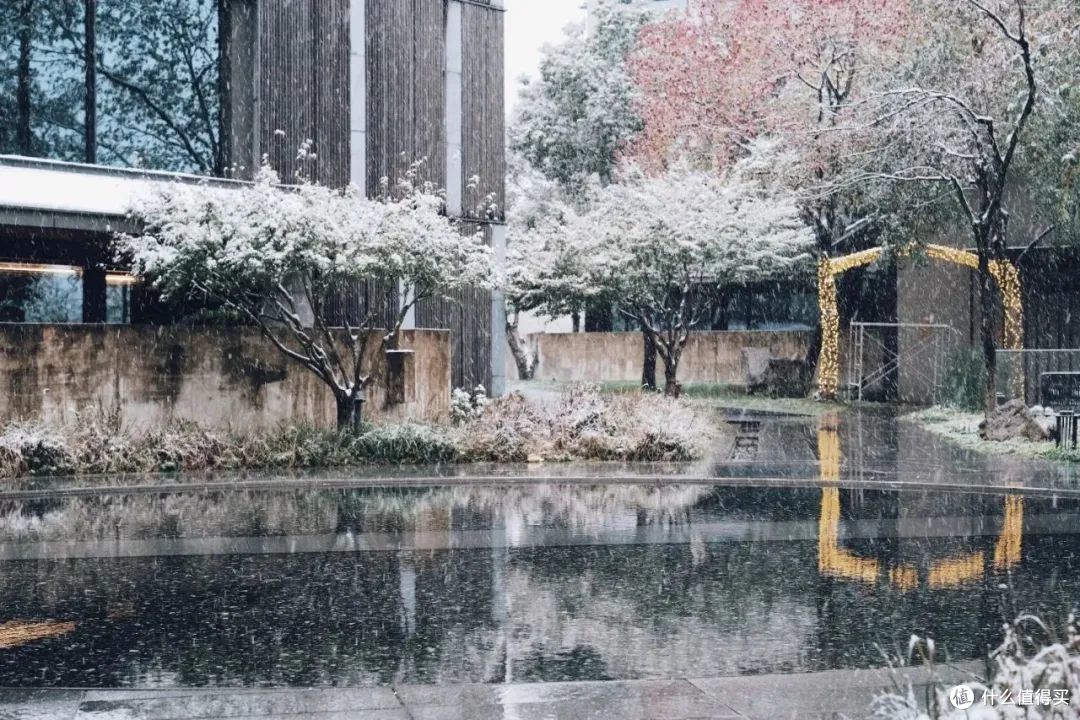 请十三亿没亲临杭州的朋友,来这篇文里看大雪。