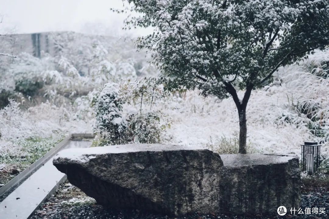 请十三亿没亲临杭州的朋友，来这篇文里看大雪​。