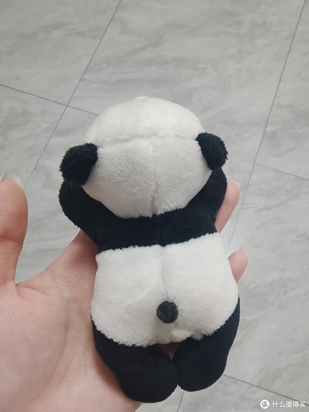 可可爱爱的冰箱小熊猫｜我把四川特产带回家啦！