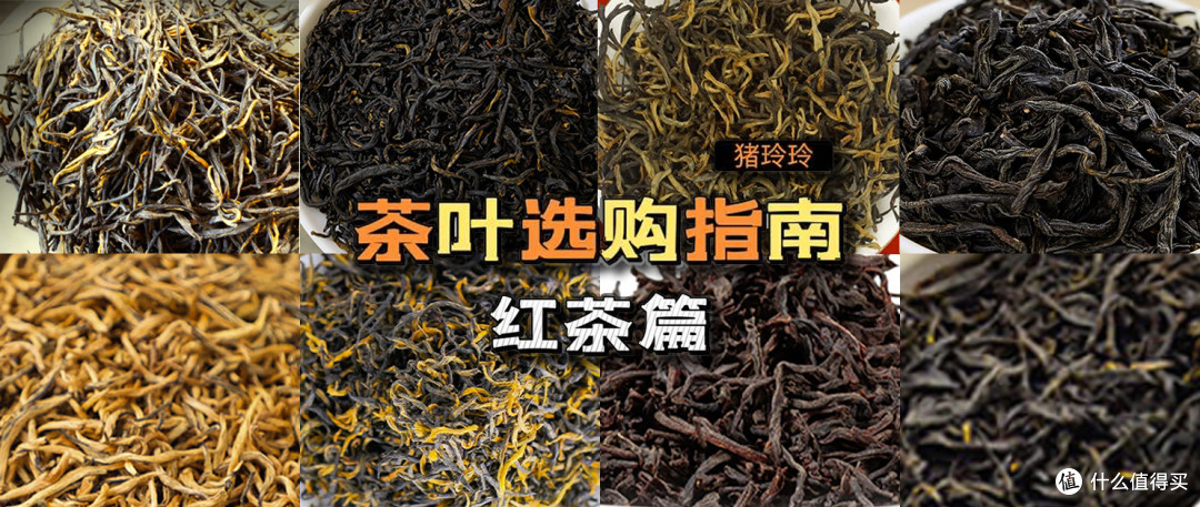 牛奶推荐看这里!5款高性价比牛奶分享,平价大碗还好喝,建议收藏