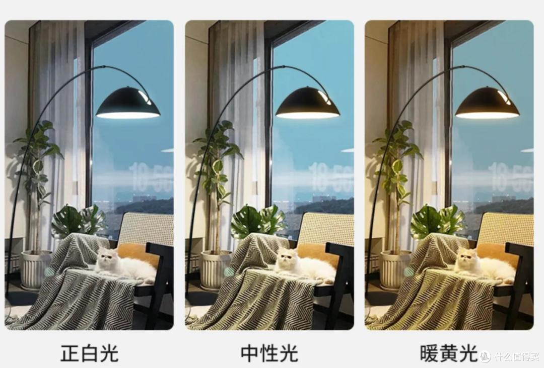 这些既便宜,又能够提高幸福指数的家电,你一定要拥有!