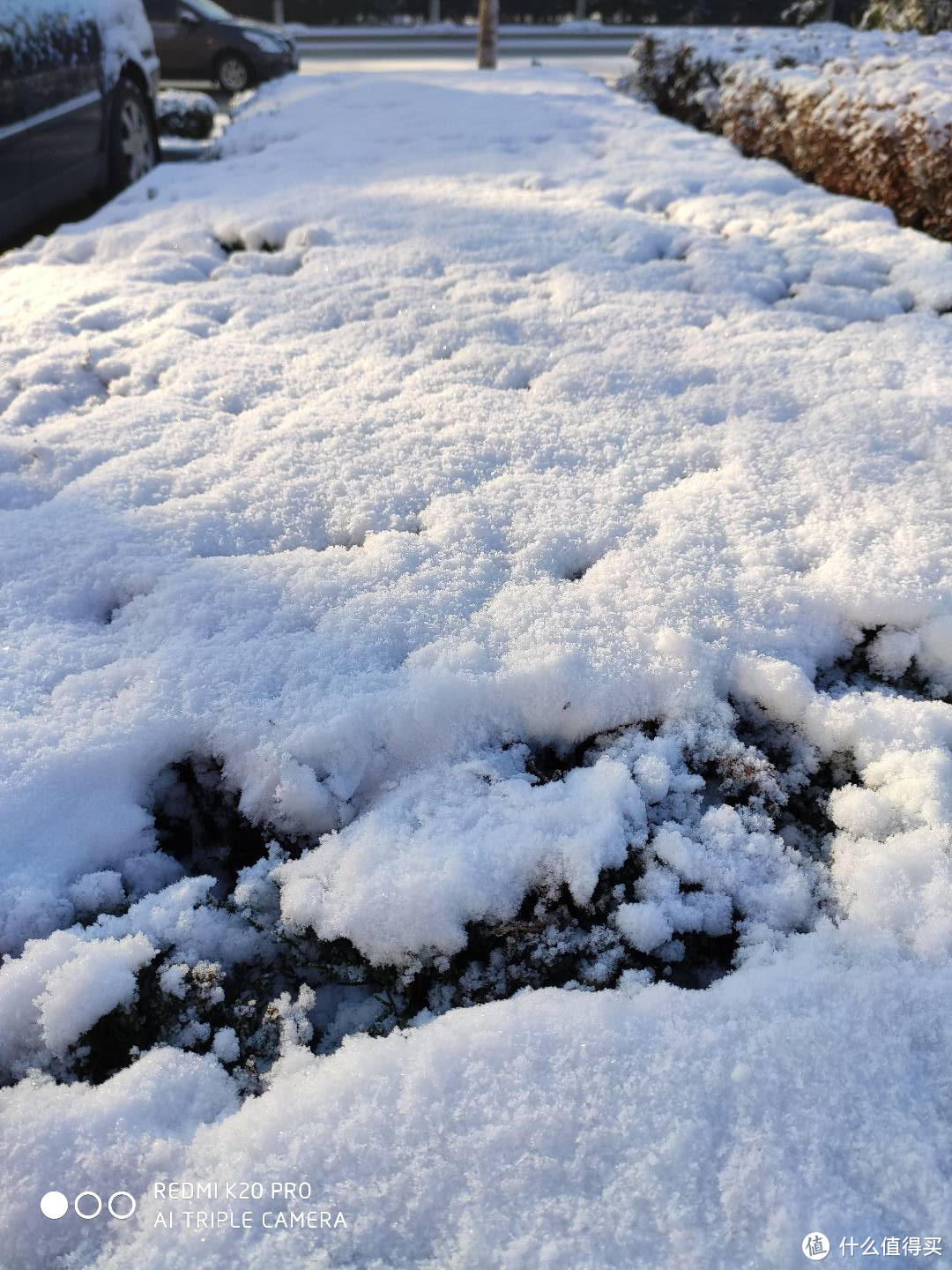 让青春吹动了你的长发，大雪了你还好吗？