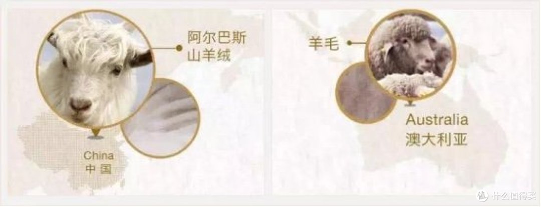 羊毛羊绒一字之差,区别还是很大的哦