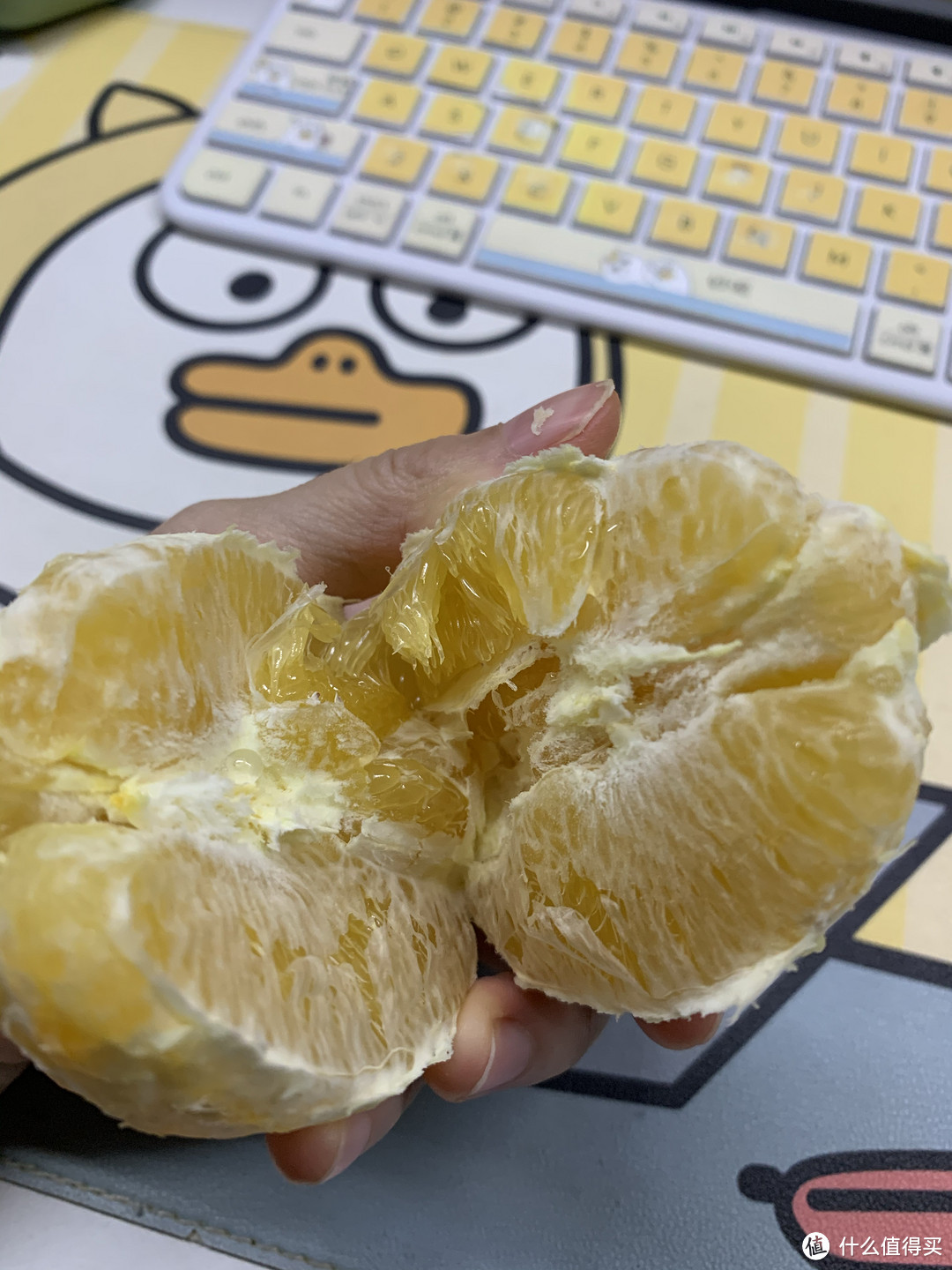 脐橙哪里好?当然属赣南好!买脐橙,认准赣南脐橙!