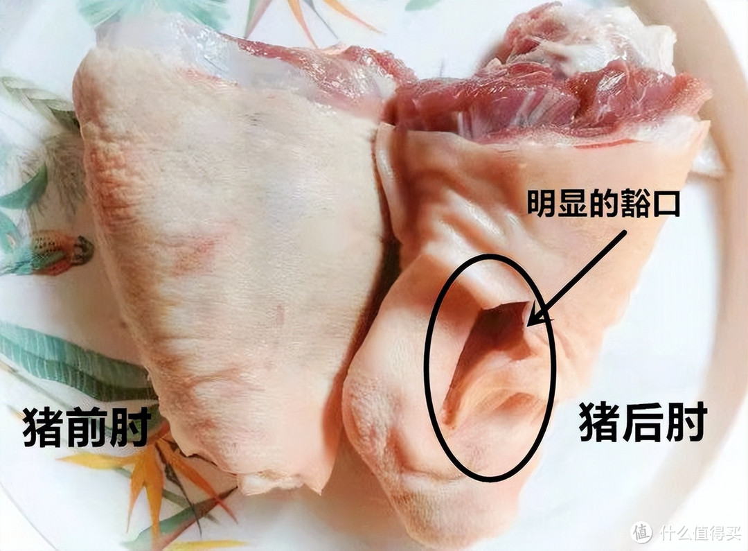 买猪肘子，要分清“前肘和后肘”，哪瘦肉多？哪胶质厚？区别不小