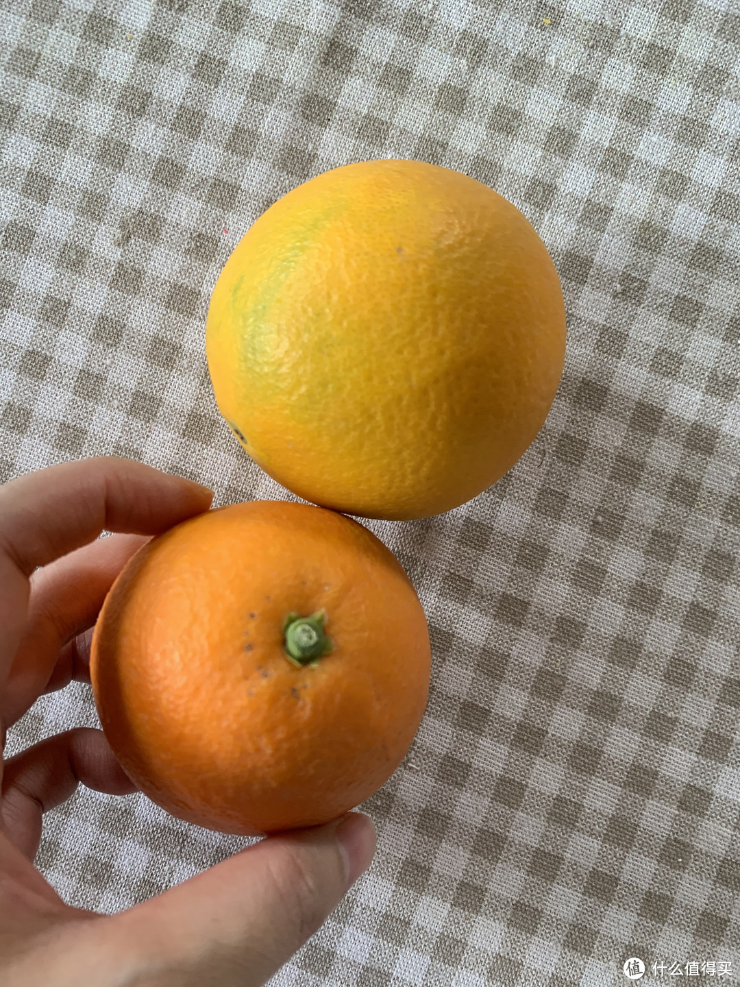 个头不大，但是非常甜的小橙子。