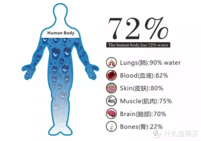 即热饮水机买什么？IAM大品牌亲测好用推荐！