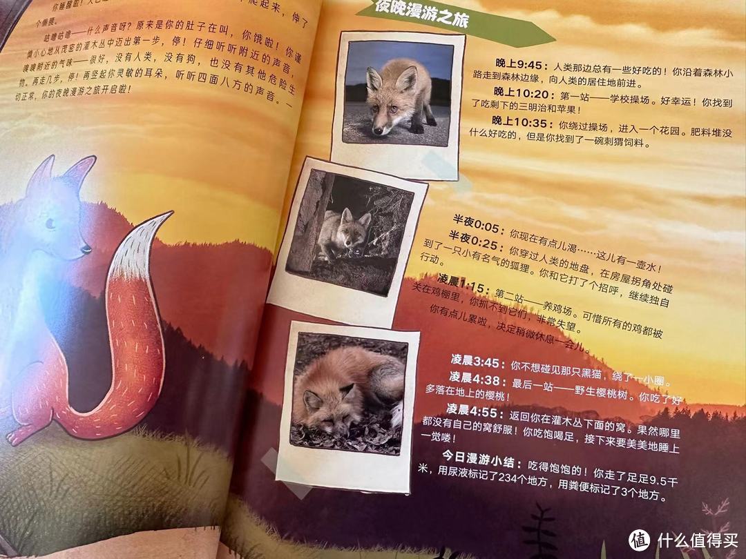 自用分享,掏心窝子安利的儿童好物!8款宝藏好物清单,让娃学习和生活更轻松~
