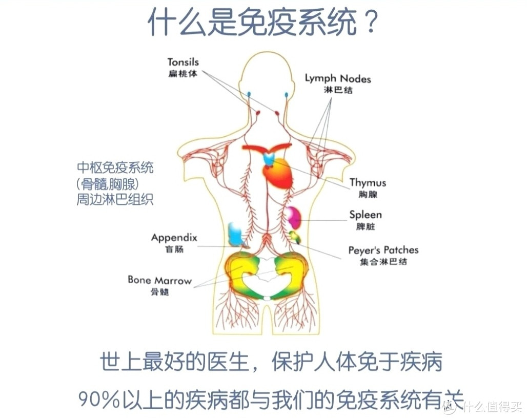 与其坐以待毙 不如主动出击 如何正面硬刚病毒 你必须知道这些 