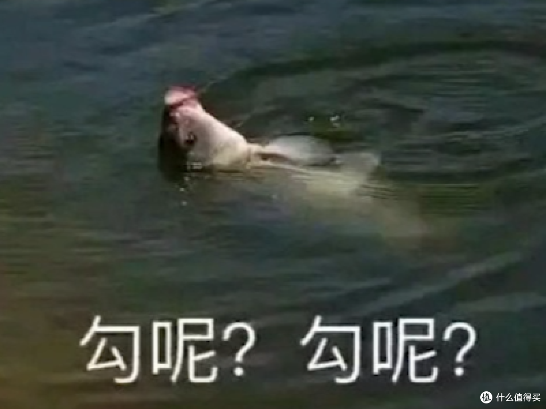 钓鱼佬绝不空军!