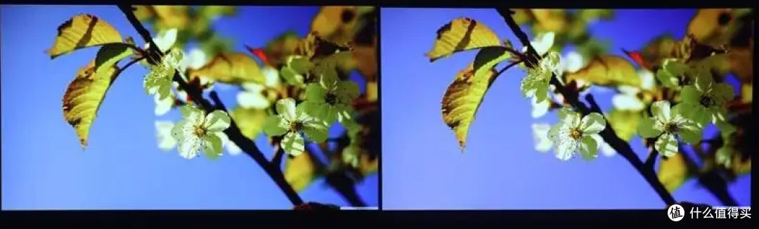 2022年投影仪推荐选购攻略、避坑攻略，最全面攻略 | 小米、明基、爱普生、坚果、极米、大眼橙、家用客厅卧室投影仪、高清、4K 投影仪推荐