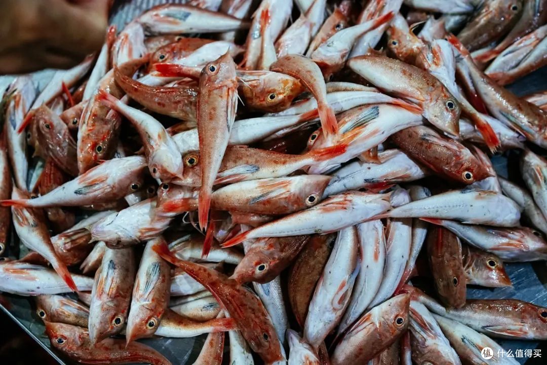 这座海景免费、海鲜自由的滨海小城,真的想私藏!