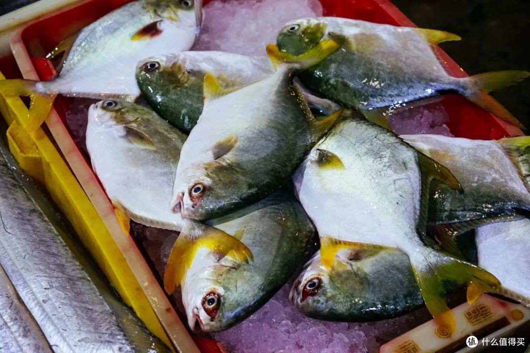 这座海景免费、海鲜自由的滨海小城,真的想私藏!