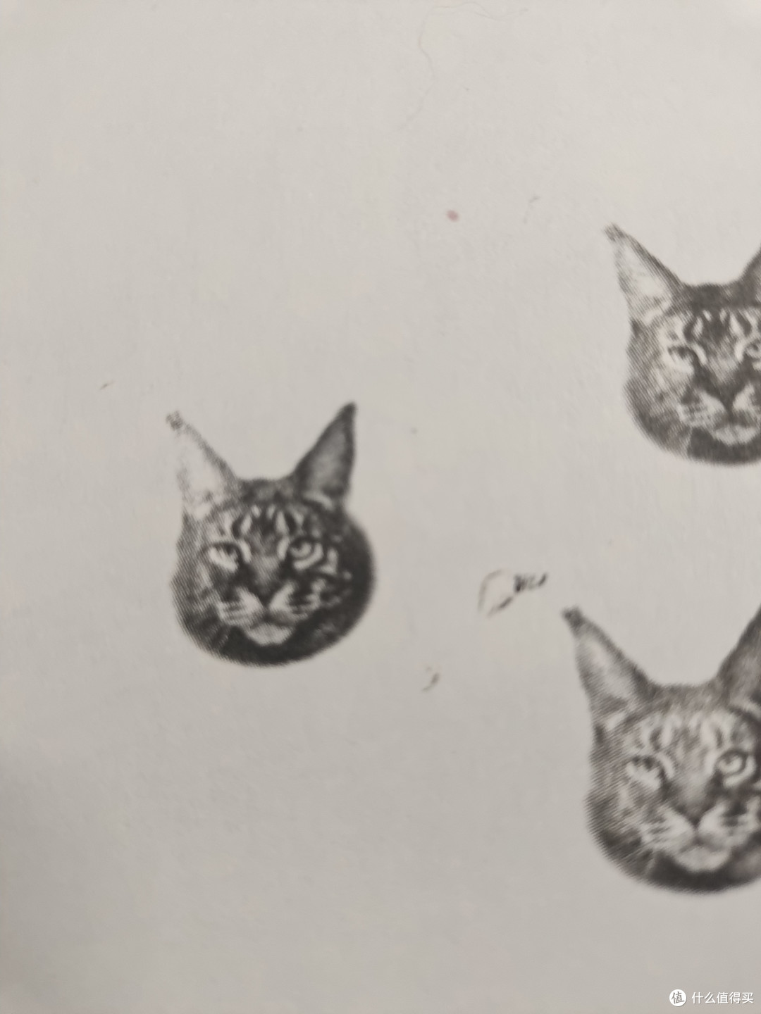 独家定制的猫猫头印章,真的是既丝滑又帅气呀!