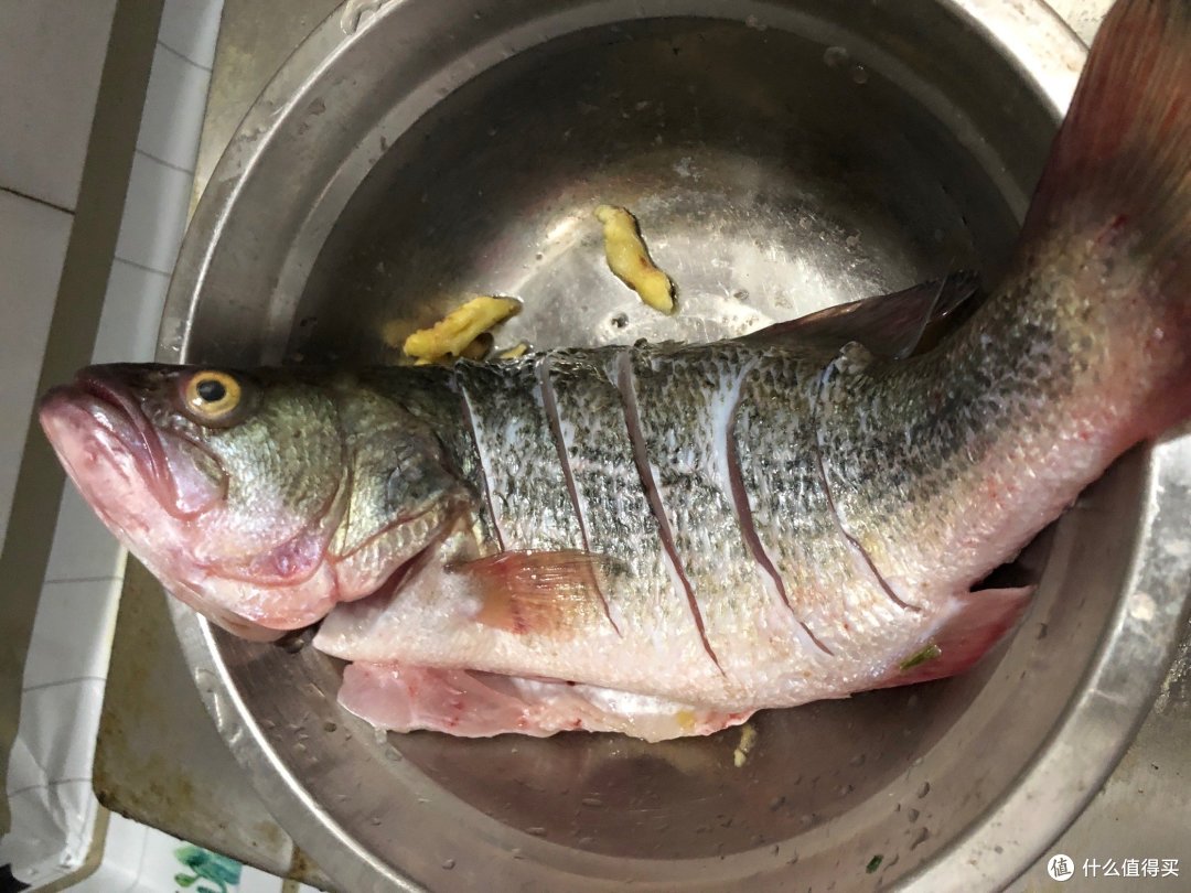 看看我处理的干干净净的鱼