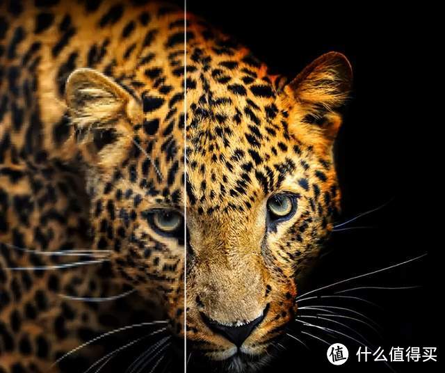 世界杯看球必备:音起画至、近在咫尺的东芝75吋MiniLED电视