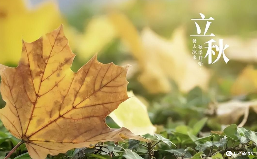俗话说:“晚立秋,热死牛”,“饮食”有啥讲究?