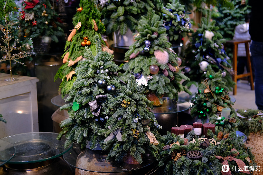圣诞元旦新年买什么花？跟着我云逛花卉市场，超多好物！附上花卉清单和精灵帽子圣诞树制作方法！
