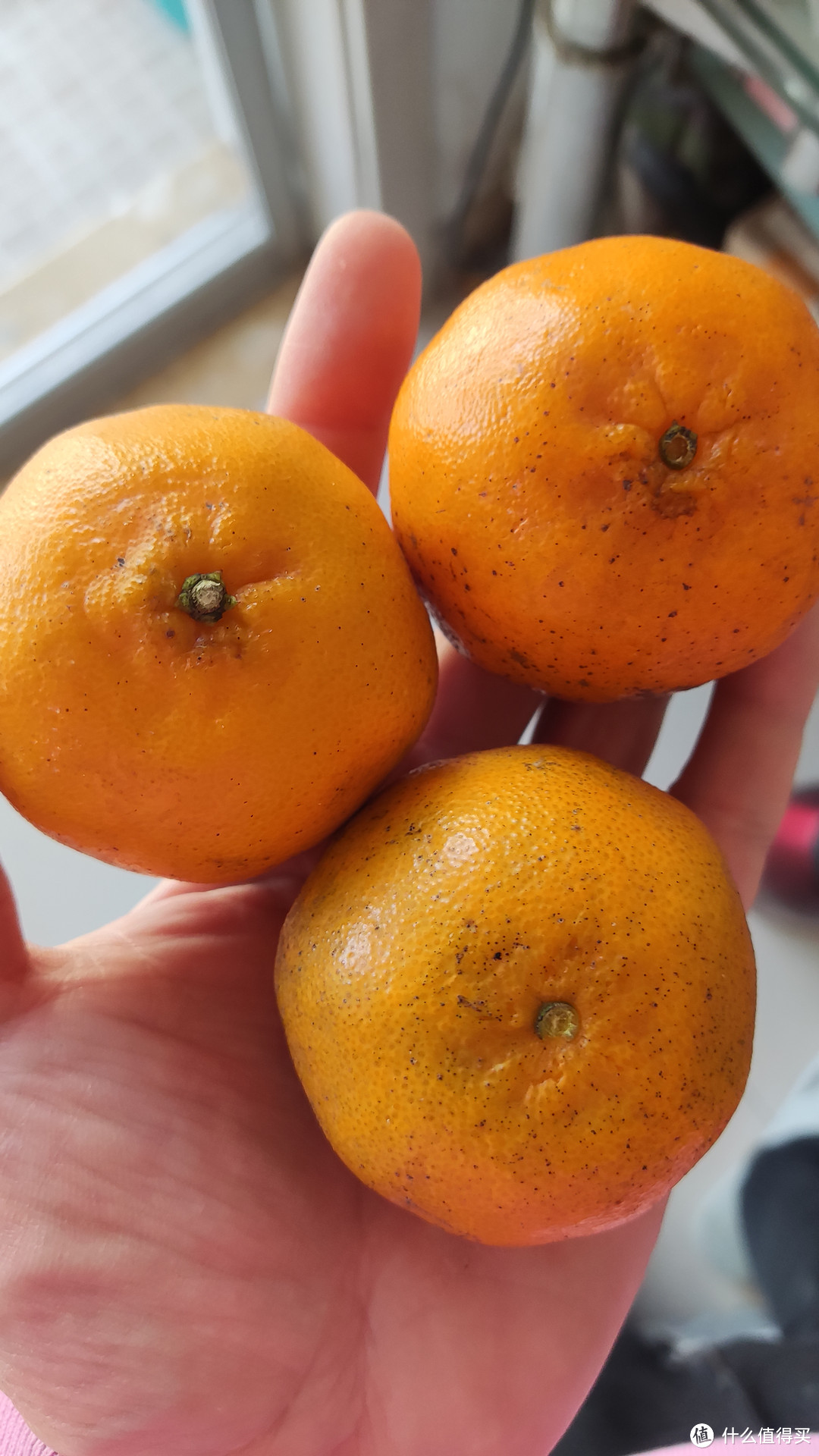 橘子一样大小的耙耙柑叫耙耙柑吗？