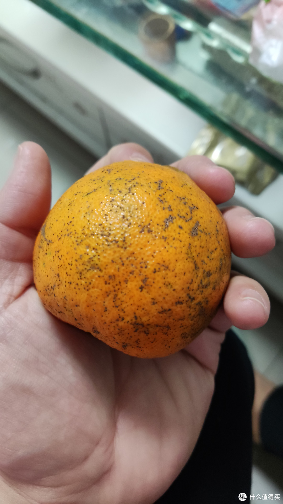 橘子一样大小的耙耙柑叫耙耙柑吗？