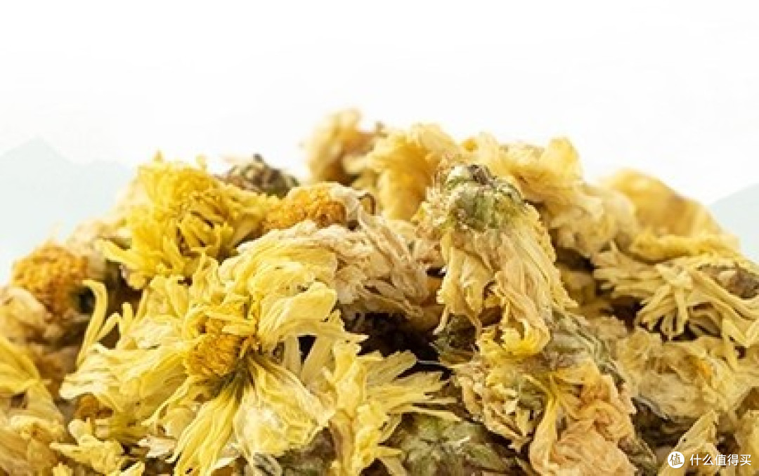 杭菊