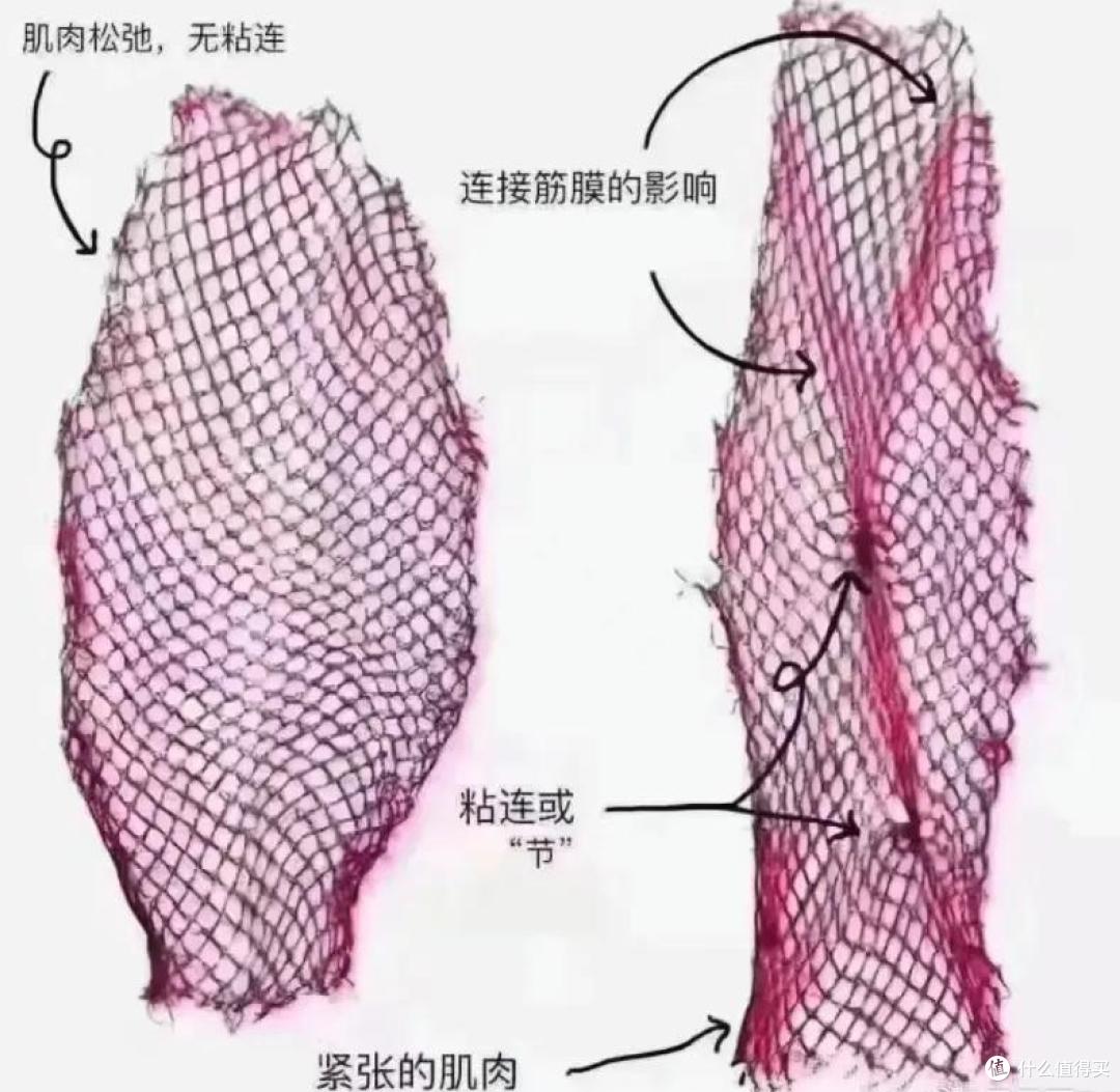 筋膜枪十大品牌排行榜:全网最全十大高口碑品牌推荐