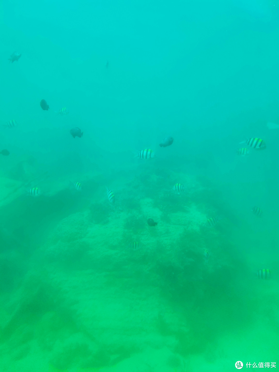分界洲岛观光潜水艇体验
