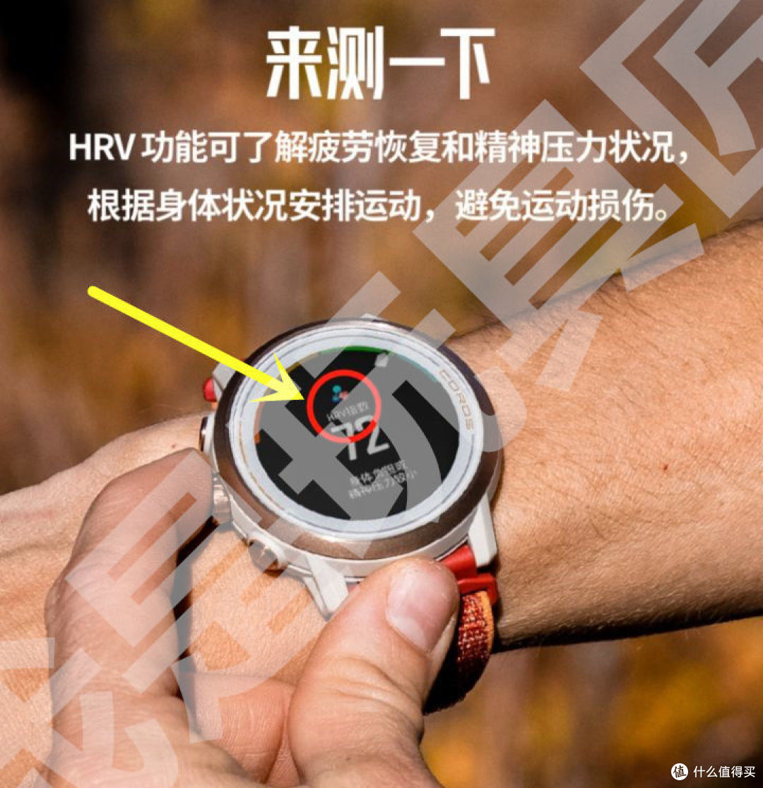 Apex 2 （Pro）测量 HRV 指数 （VIA.高驰官网）