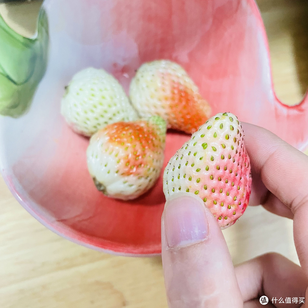 白色的牛奶草莓你们见过吗？