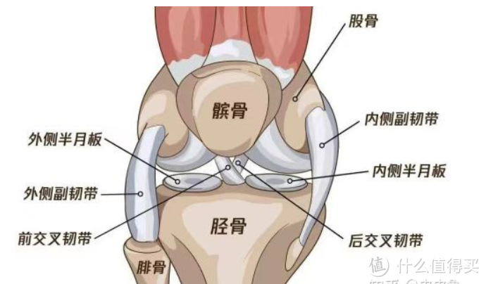 拿什么保护你,我的膝盖!