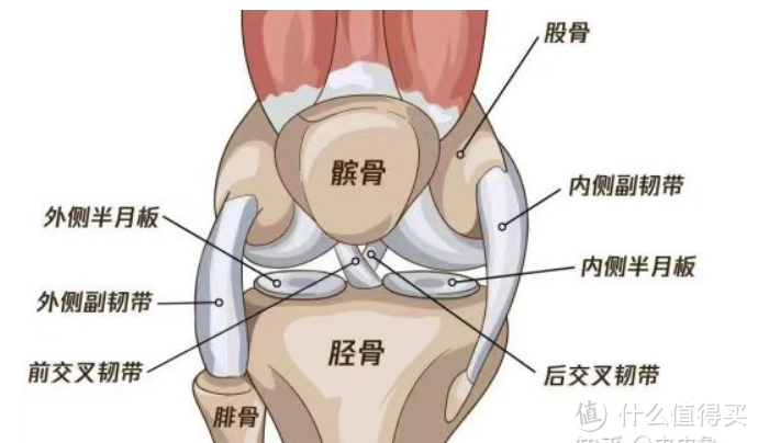 拿什么保护你，我的膝盖！