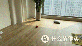 四款扫地机一镜到底,200平空间全面清理!