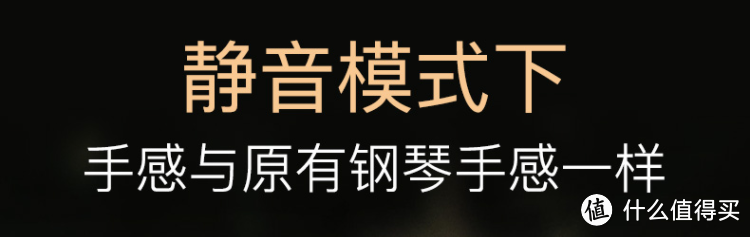 改造费用5000+钢琴静音系统了解一下