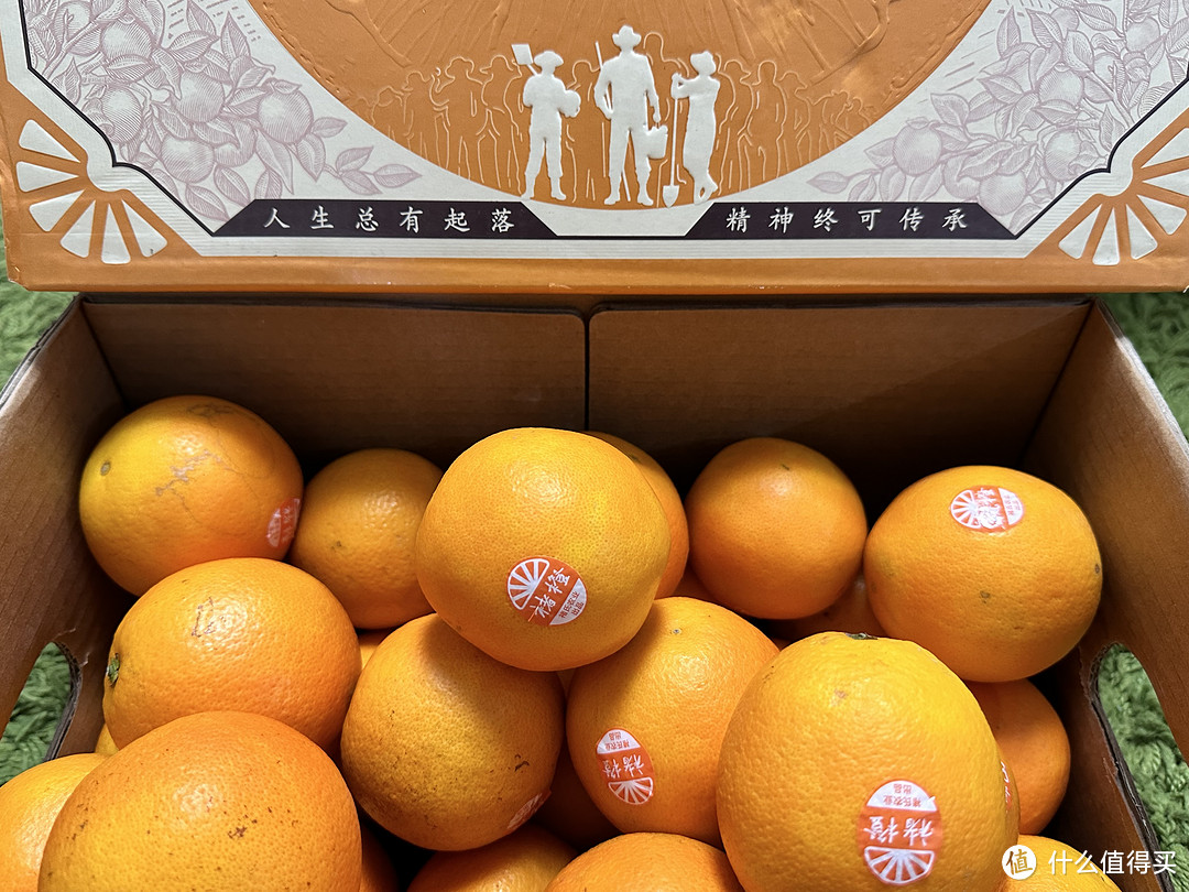 橙子界的天花板、2022年吃的最多的水果维C小炮弹褚橙