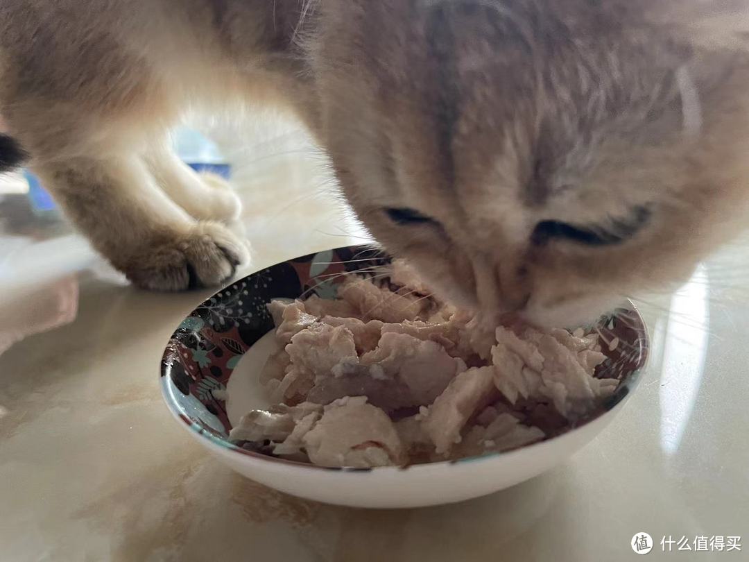 整条鱼做猫饭，钓鱼佬的猫吃鸡胸肉都是奢望