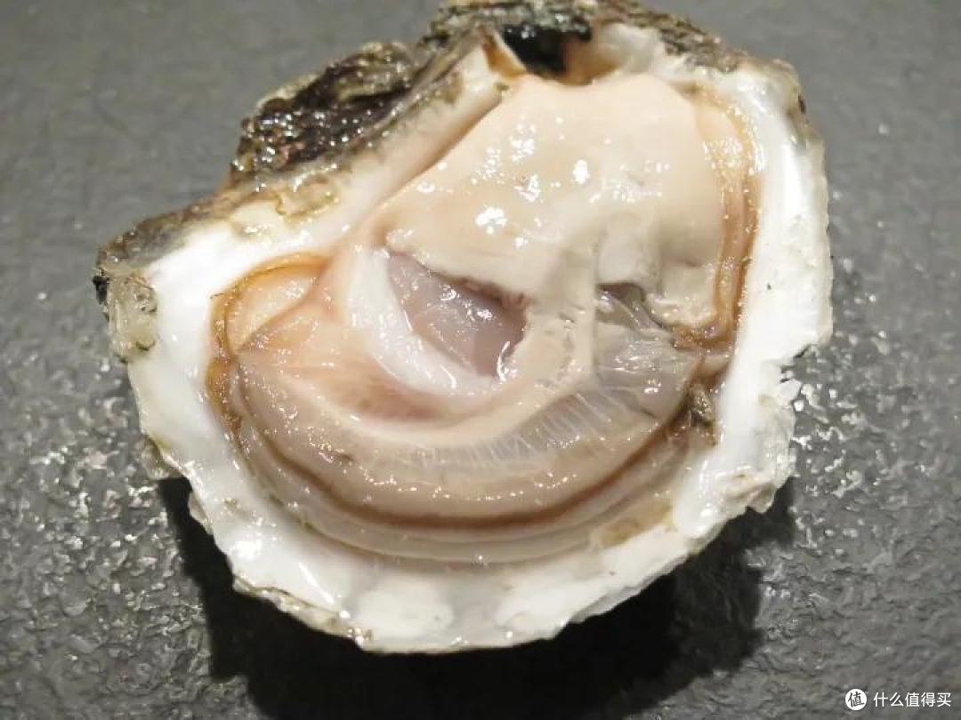 你吃的蚝油,不是“油”也没有“蚝”!