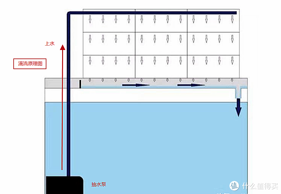 养鱼神器，被誉为“屌丝专用过滤神器”的滴流盒，怎么选？