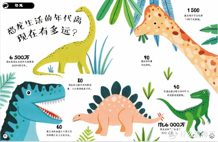 豹子身上有几个点?大人孩子都爱的有趣轻科普
