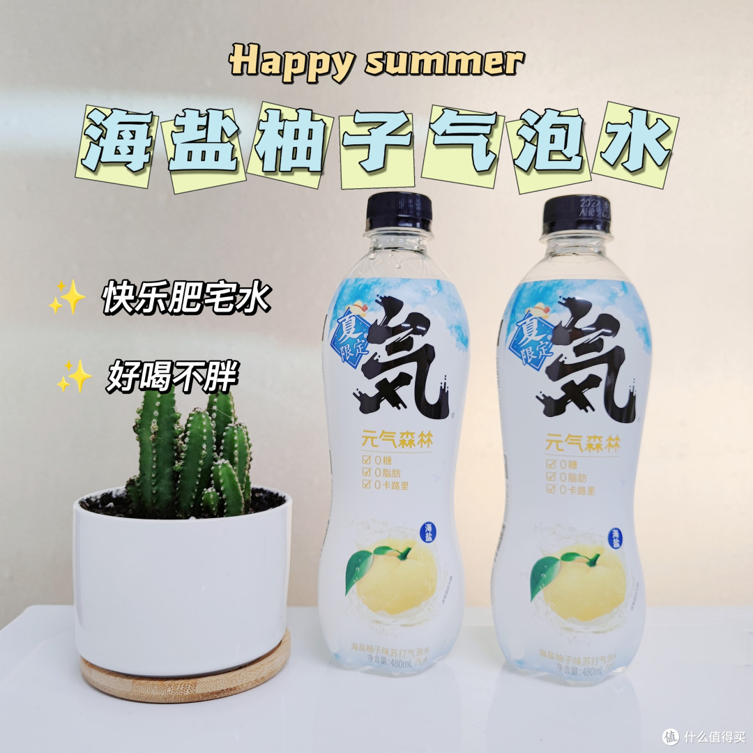 冬日聚餐必备元气森林气泡水呀