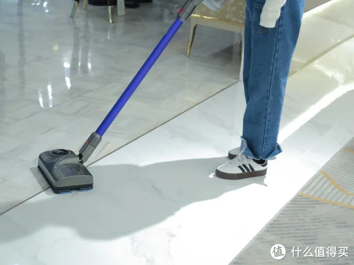 家里有宠物,怎么做家务清洁比较高效?