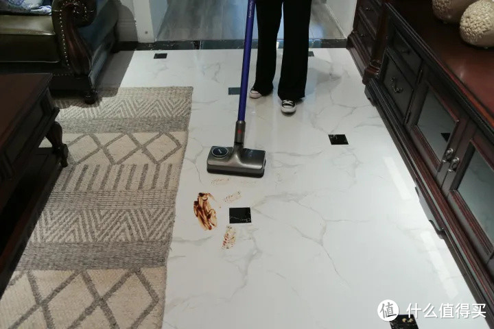 家里有宠物，怎么做家务清洁比较高效？