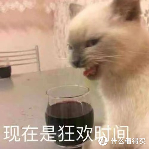 猫到底能不能喝牛奶？