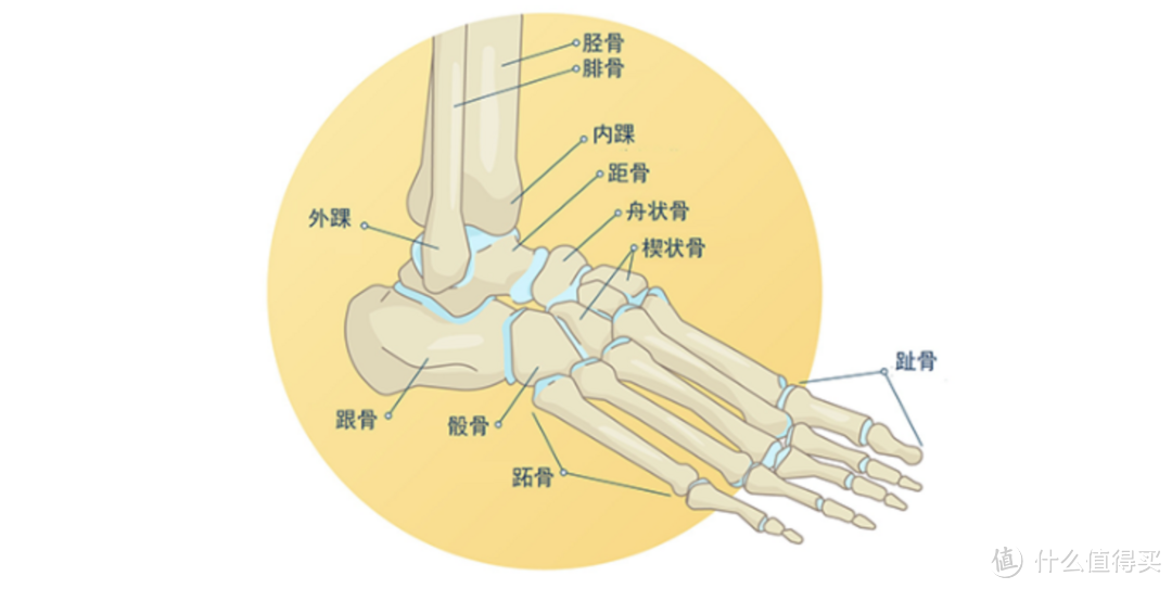 扭脚小伤病，疼痛真要命——我的踝关节损伤居家康复史